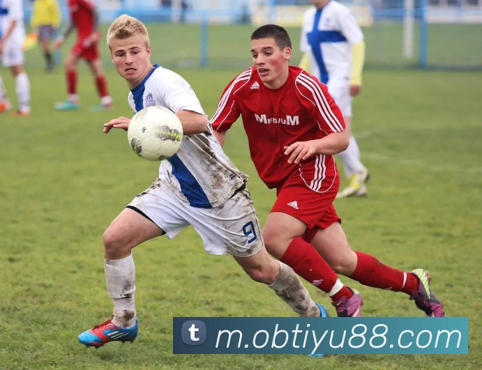 ob体育全站App